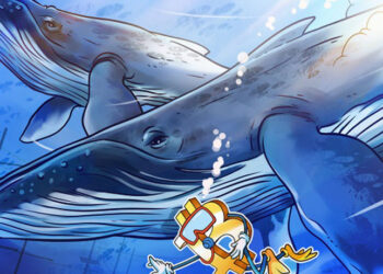 bitcoin-whales-still-hibernating-as-btc-price-nears-21k