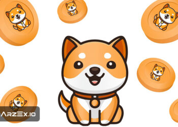 comparing baby doge dogecoin and shiba inu