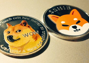 new-dogecoin-and-shiba-inu-pools-added-to-binances-liquidity-swap-platform