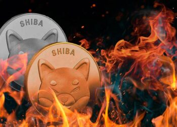amazon-has-had-serious-impact-on-burning-shib-on-this-platform-in-august-details