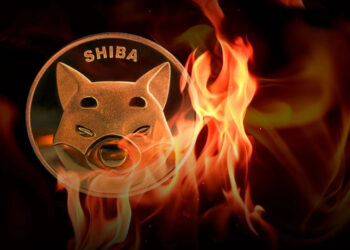more-than-half-billion-shib-burned-in-past-week-as-shiba-inu-returns-to-whales-radar
