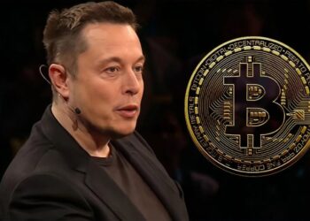 global-recession-may-last-until-near-2024-bitcoin-halving-elon-musk