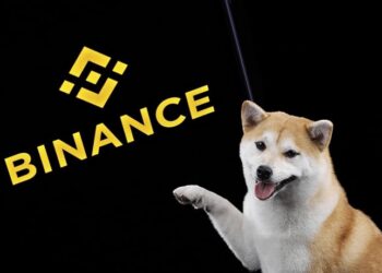 binance-holds-over-87-trillion-shiba-inu-as-reserves