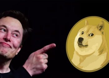 dogecoin-up-records-1-5b-inflows-after-elon-musk-comment-doge-to-the-moon