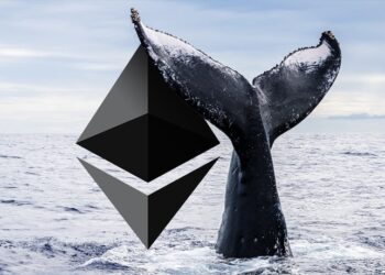 one-of-largest-ethereum-holders-in-world-would-surprise-you