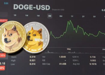 48-of-dogecoin-doge-supply-under-influence-of-10-addresses