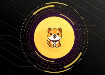 babydoge-swap-launches-feature-to-buy-crypto-with-fiat