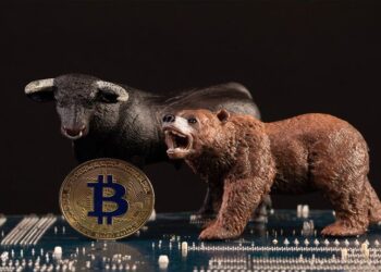 bitcoin-still-lacks-this-on-chain-signal-for-btc-bull-market-david-puell
