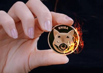 داغ‌ترین خبرها درباره رمزارز محبوب شیبا اینو!