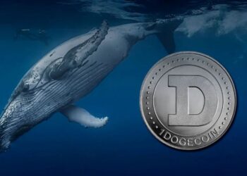هجوم نهنگها به بازار دوج کوین! افزایش قیمت DOGE در راه است؟