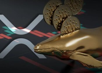 ریپل یا کاردانو، رمزارز انتخابی نهنگ‌ها در سال ۲۰۲۳ کدام است؟