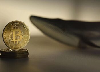 bitcoin-btc-big-whale-transactions-in-2023-so-far-what-they-mean