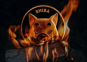 shib-army-burn-over-83-34b-shiba-inu-shib-in-2022