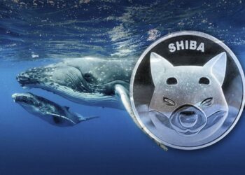 whopping-396-trillion-shiba-inu-shib-added-by-whales-in-just-one-week