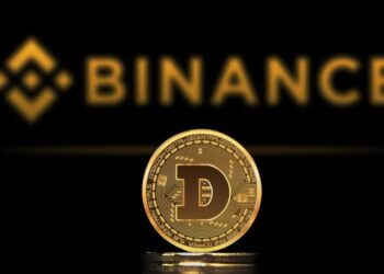 انتقال 29 میلیون دلار دوج کوین به بایننس! آیا منتظر ریزش قیمت باشیم؟