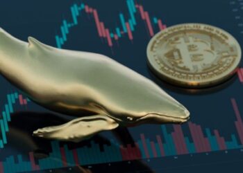 انباشت هزاران بیت کوین توسط یک نهنگ جدید! جهش قیمتی در راه است؟