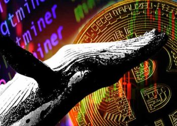 فروش سنگین بیت کوین توسط نهنگ‌ها و ماینرها! افت قیمت تا کجا ادامه دارد؟