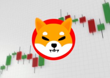 قیمت شیبا