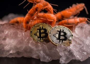 bitcoin-shrimps-are-becoming-smarter-heres-why