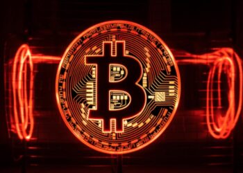 btcs-address-growth-offers-long-term