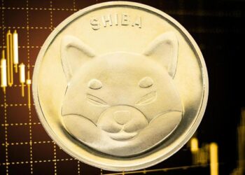 shib-price