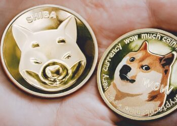 shiba-inu-will-outrank-dogecoin-next-bull-rally