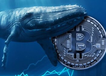 top-btc-whales-set-three-year-record-details
