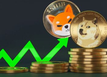 shib-doge-may-not-recreate-previous-returns-heres-why-