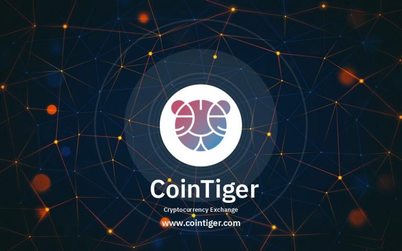 صرافی کوین تایگر