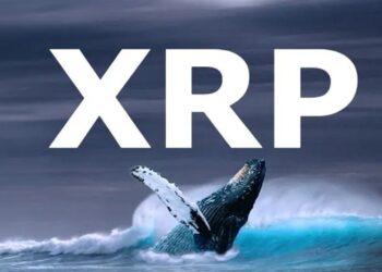 whale-moves-xrp-in-millions-as-analyst-predicts-upcoming-rebound