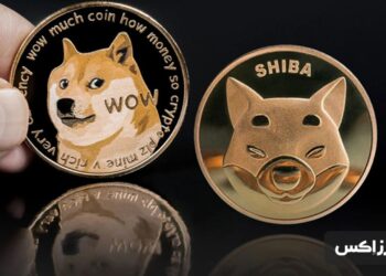 doge-and-shib-price-outlook-for-2024