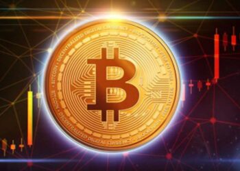 bitcoin-price-sees-mild-bounce-back-whale-activity-at-15-month-high