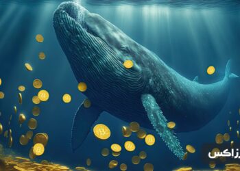 crypto-whales-are-buying