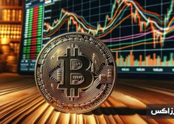 btc-all-time-high-before-halving