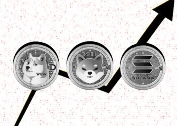 dogecoin-doge-accumulation-period-might-be-over-solana-sol-is-surprisingly-slow-shiba-inus-shib