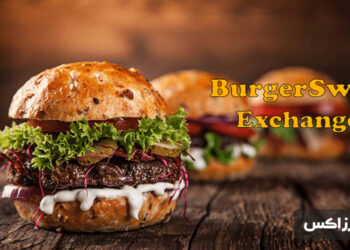 burgerswap exchange