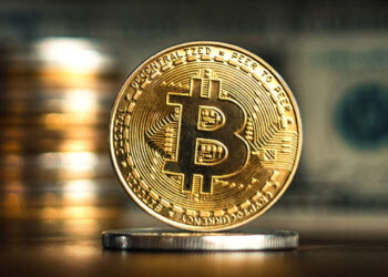 هولدرهای بیت کوین در حال برداشت