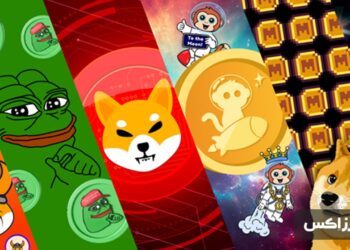 top-6-meme-coins-bitcoin-halving