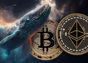 bitcoin-and-ethereum-whales-buy-every-price-dip-relief-rally-soon-