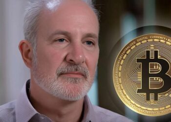 peter-schiff-predicts-bitcoin-btc-price-will-crash-to-20
