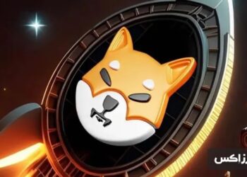 why-is-shiba-inu-price-up