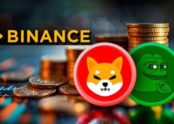 billions-of-shib-and-pepe-exit-binance-in-166-million-crypto-bloodba