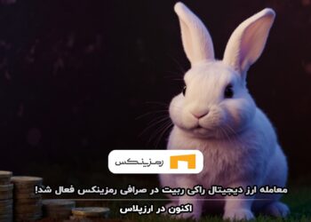 arzex-ex-ROCKYRABBIT-