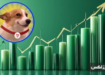 best-meme-coins-second-week-september