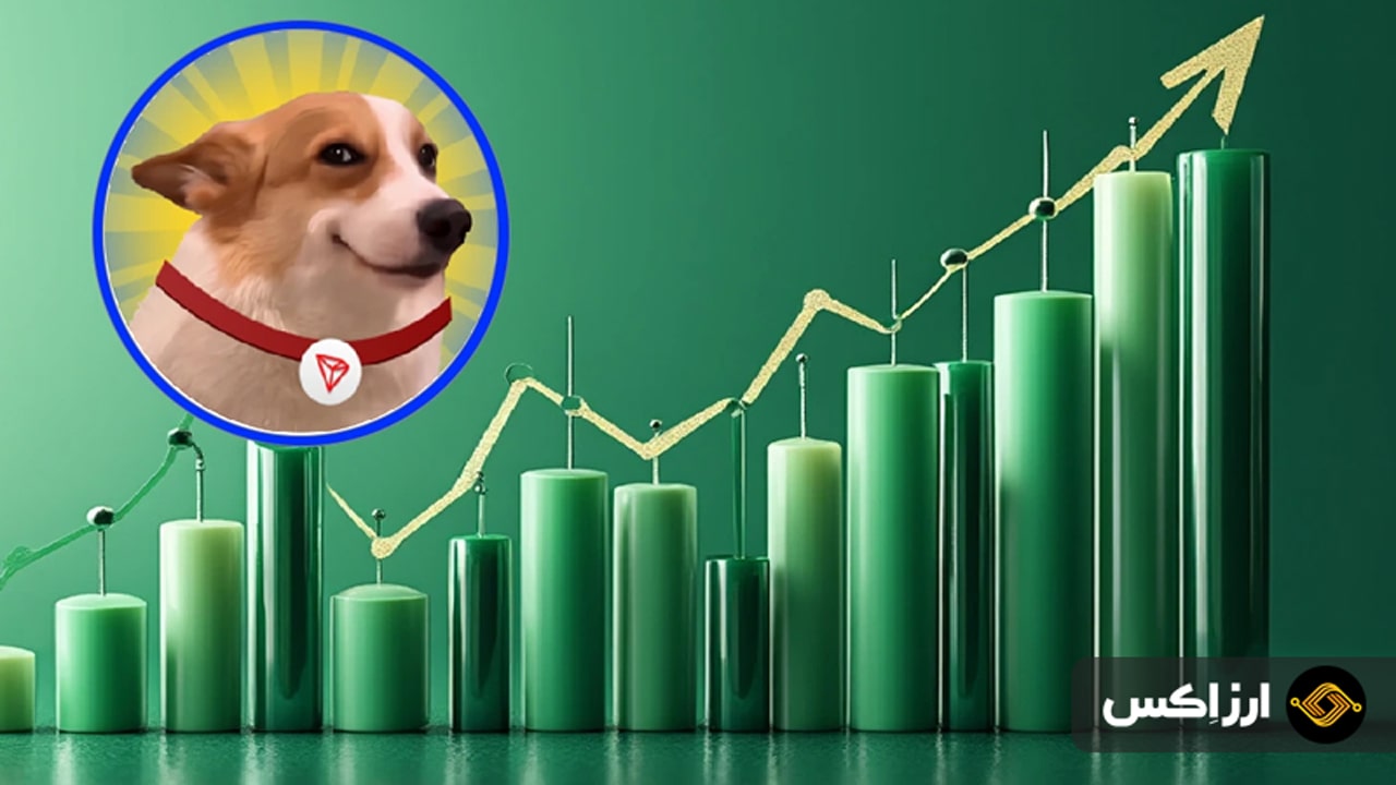 best-meme-coins-second-week-september
