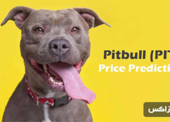 pitbull-price-prediction