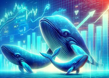 top-3-whale-favored-crypto-to-rally-5x-in