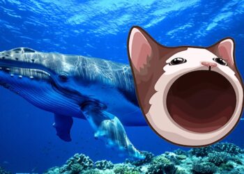 popcats-bullish-turn-how-a-2m-whale-purchase-signals-upcoming-rally