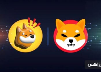 could-bonk-flip-shib-