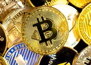cryptocurrency-prices-today-nov-21-btc-reaches-97k-altcoins-gains